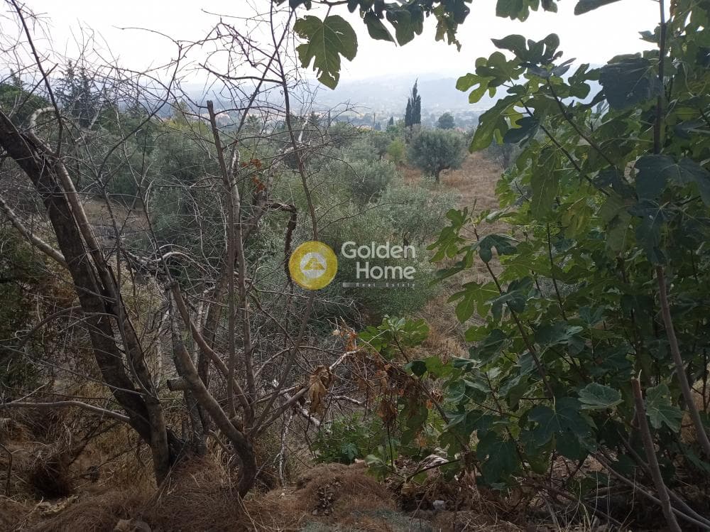 Building Plot in Kiourka, Afidnes — Photo 2 of 3