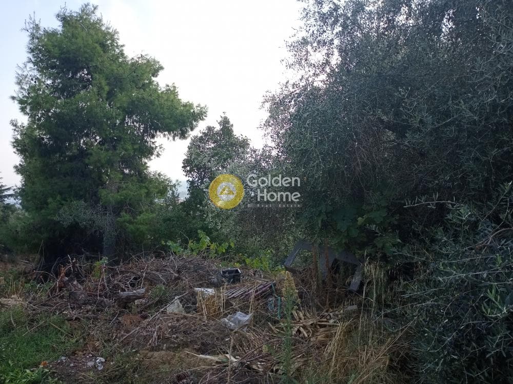 Building Plot in Kiourka, Afidnes — Photo 3 of 3