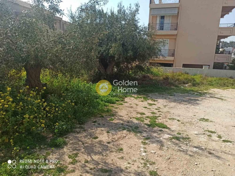 Οικόπεδο στην Γερόβουνο, Καματερό — Φωτογραφία 9 από 9