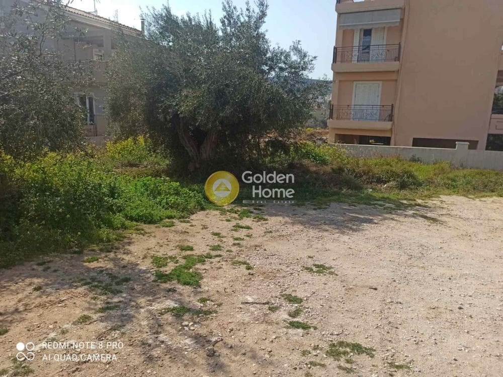 Οικόπεδο στην Γερόβουνο, Καματερό — Φωτογραφία 4 από 9