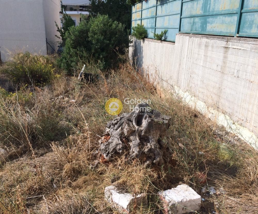 Building Plot in Patima, Chalandri — Photo 7 of 13