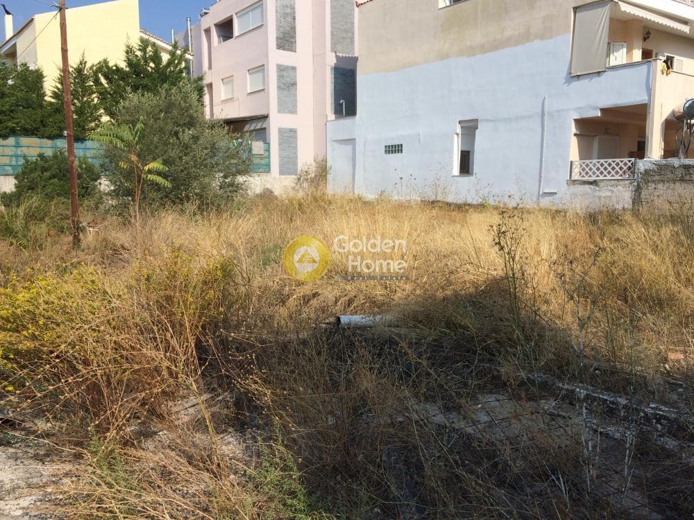 Building Plot in Patima, Chalandri — Photo 8 of 13