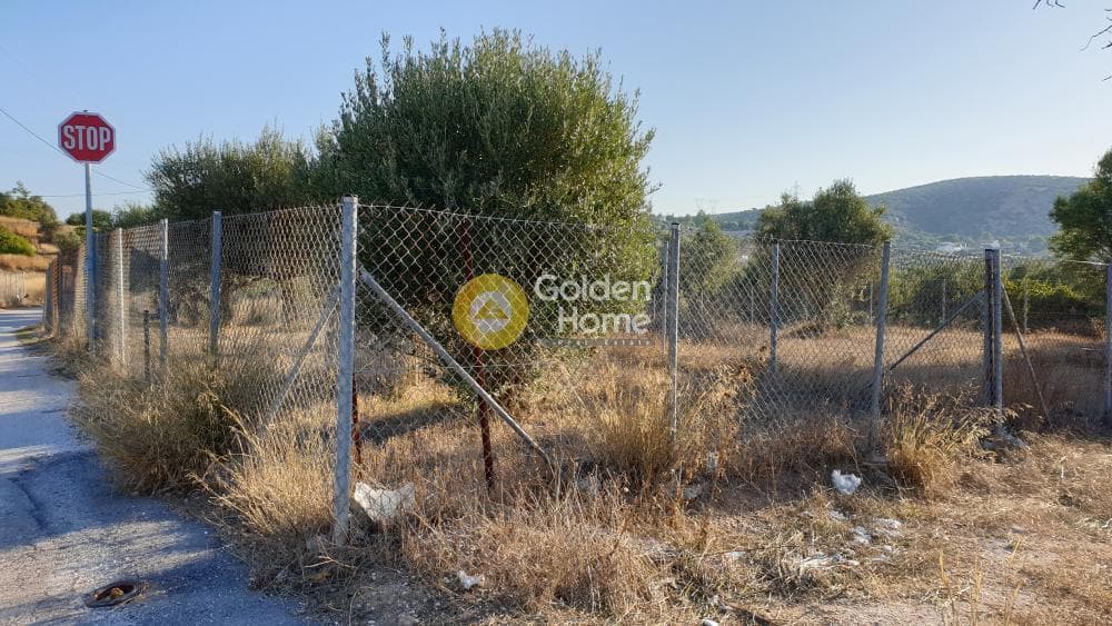 Parcel in Lamprika, Koropi — Photo 2 of 7