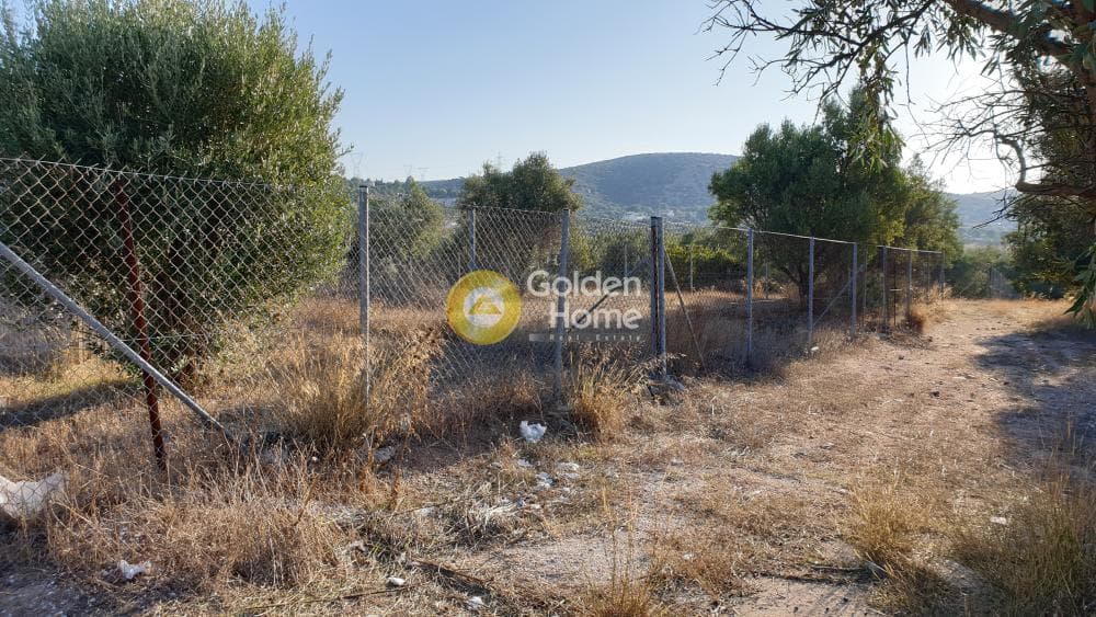 Parcel in Lamprika, Koropi — Photo 1 of 7