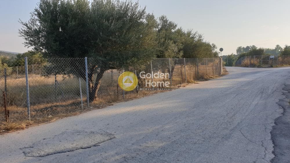 Parcel in Lamprika, Koropi — Photo 3 of 7