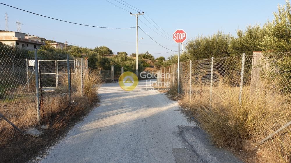 Parcel in Lamprika, Koropi — Photo 4 of 7