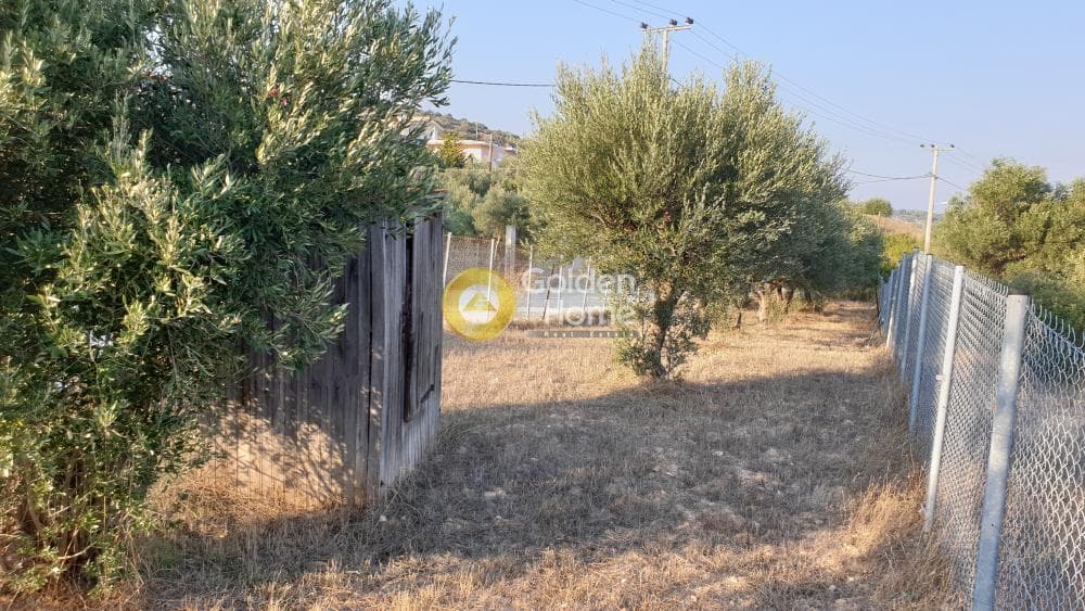Parcel in Lamprika, Koropi — Photo 6 of 7