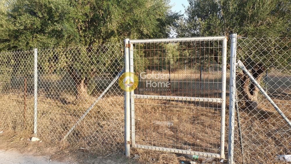 Parcel in Lamprika, Koropi — Photo 7 of 7