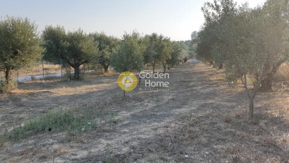 Parcel in Lamprika, Koropi — Photo 4 of 5