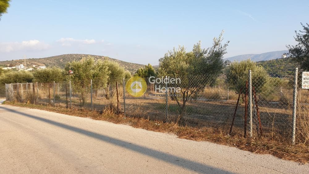 Parcel in Lamprika, Koropi — Photo 2 of 5