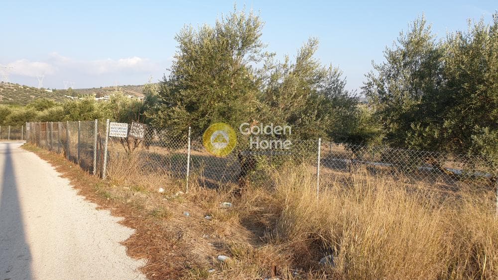Parcel in Lamprika, Koropi — Photo 5 of 5