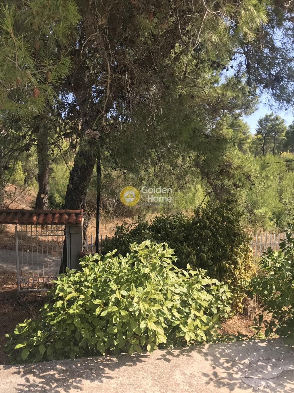 Parcel in Center, Stamata — Photo 5 of 6