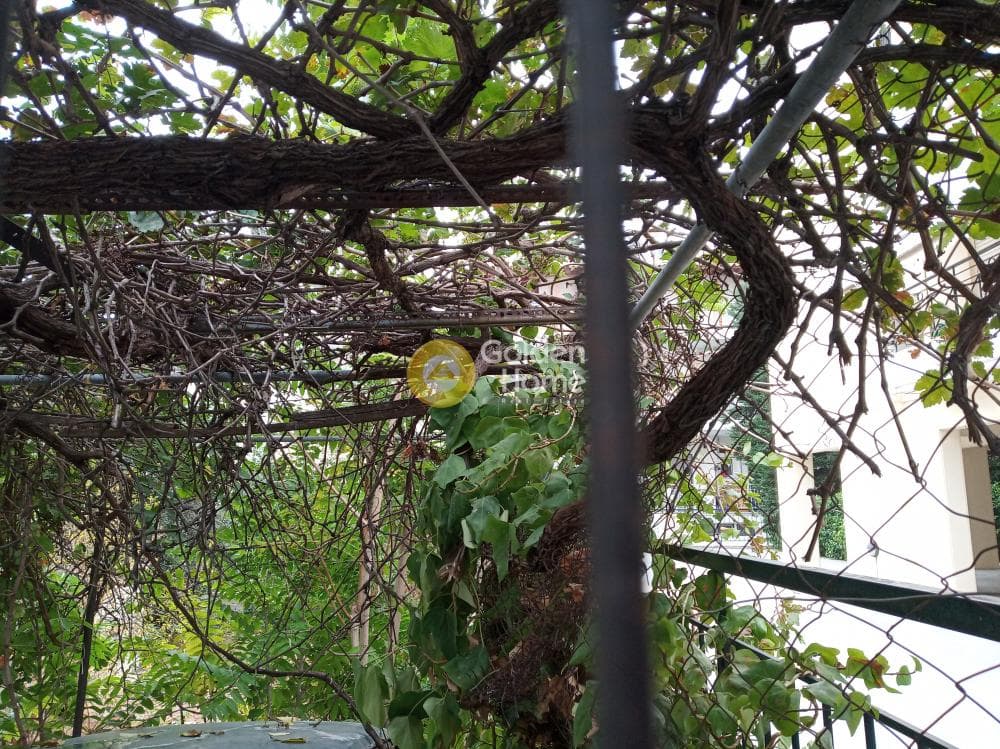 Οικόπεδο στην Κηπούπολη, Πετρούπολη — Φωτογραφία 5 από 7