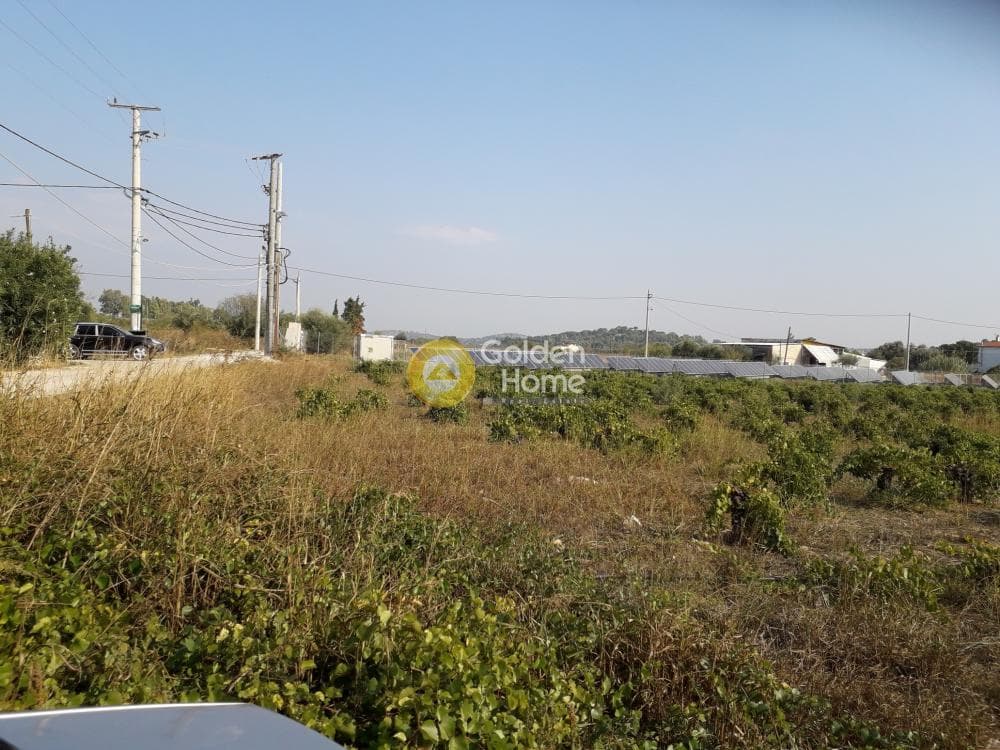 Αγροτεμάχιο στην Καισάρεια, Παλλήνη — Φωτογραφία 2 από 3