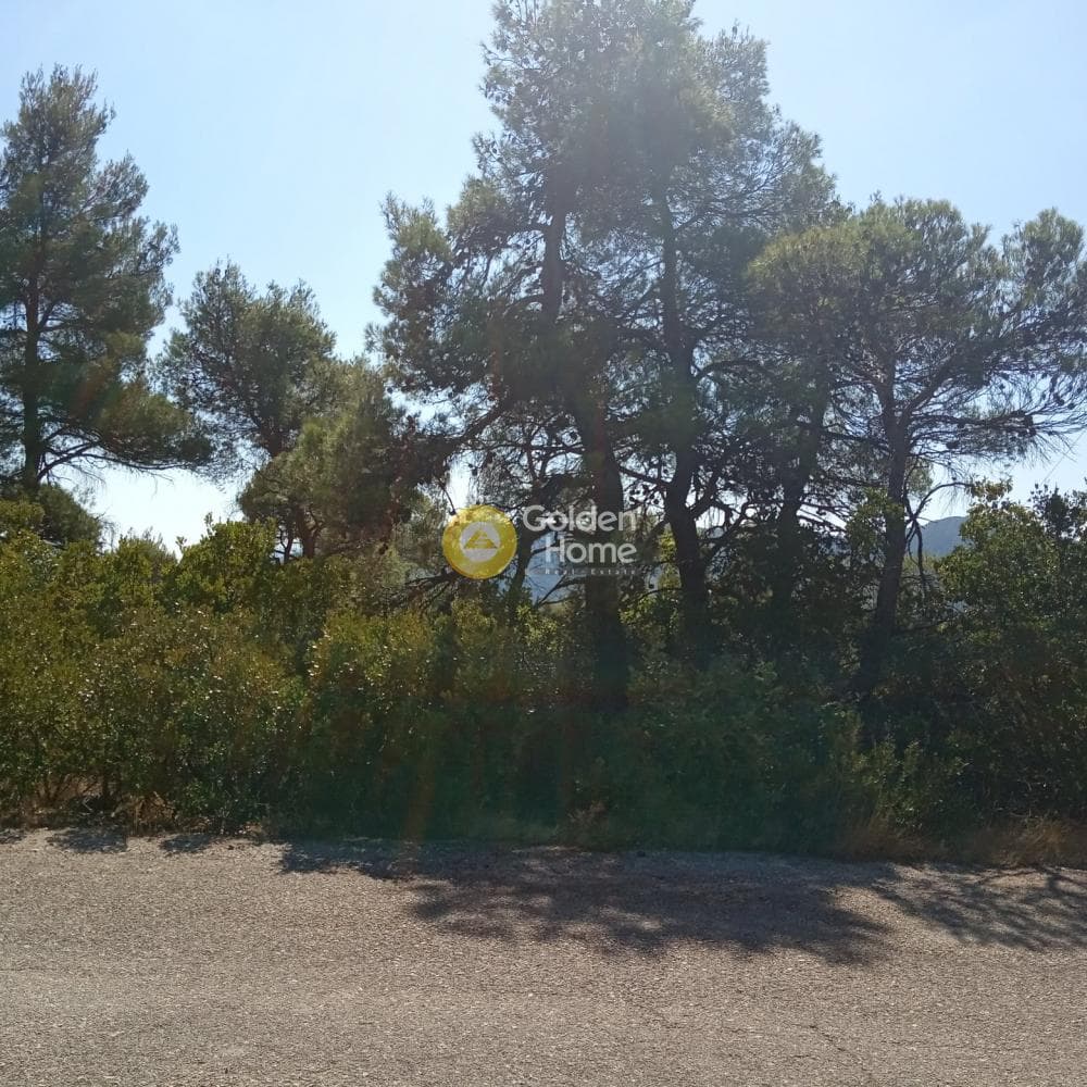 Building Plot in Avgi, Afidnes — Photo 1 of 4