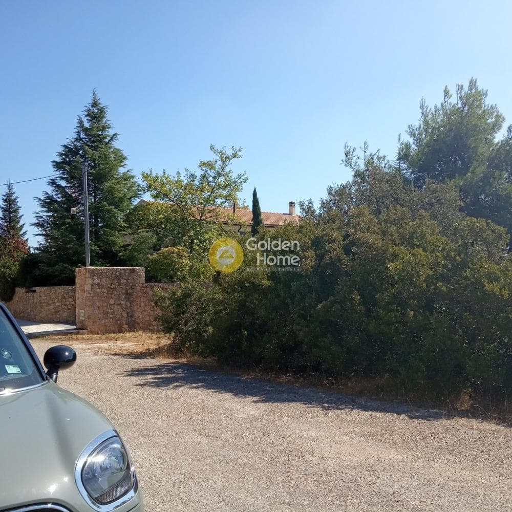 Building Plot in Avgi, Afidnes — Photo 2 of 4