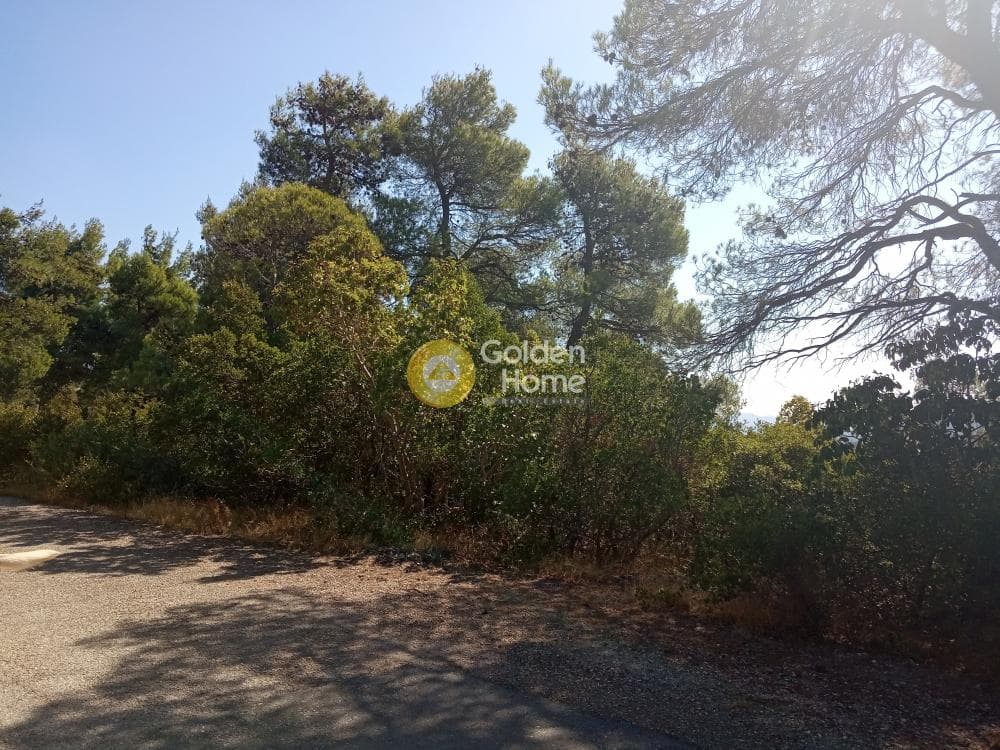 Building Plot in Avgi, Afidnes — Photo 4 of 4
