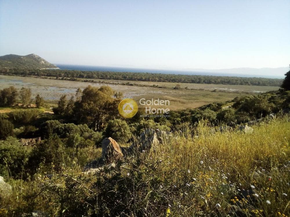 Οικόπεδο στην Άγιος Παντελεήμονας, Νέα Μάκρη — Φωτογραφία 1 από 6