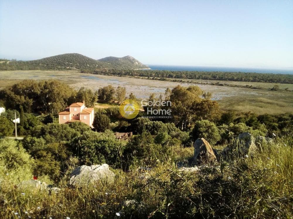 Οικόπεδο στην Άγιος Παντελεήμονας, Νέα Μάκρη — Φωτογραφία 4 από 6