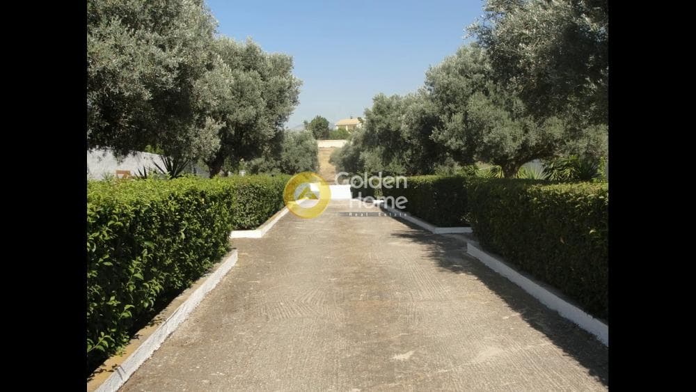 Μονοκατοικία στην Αγία Τριάδα, Μαρκόπουλο — Φωτογραφία 16 από 38