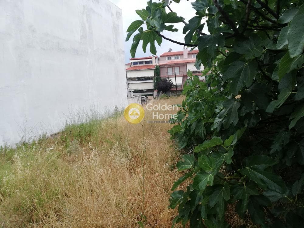 Building Plot in Stavros Geraka, Gerakas — Photo 5 of 6