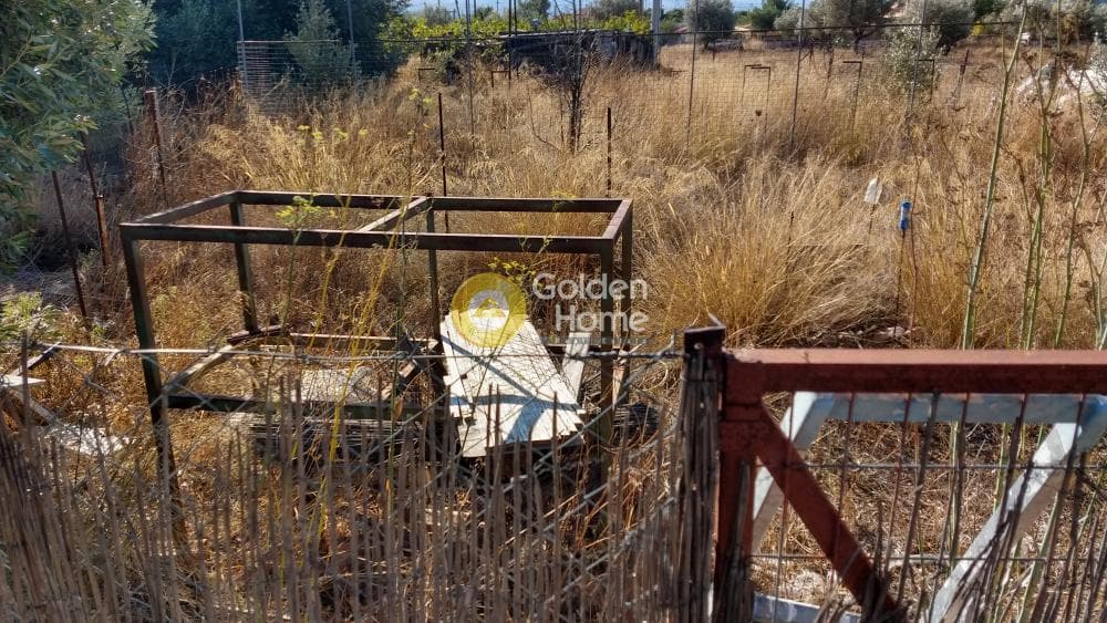 Οικόπεδο στην Μεγάλα Σχοινία Α, Αχαρνές — Φωτογραφία 3 από 6