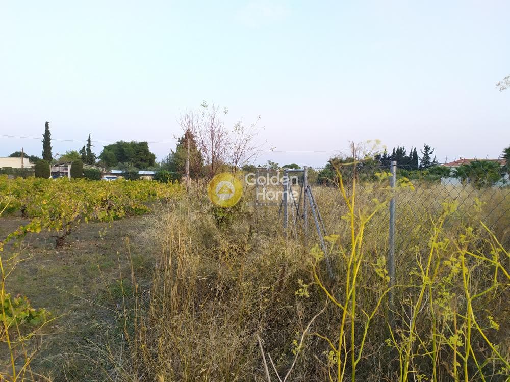 Οικόπεδο στην Καισάρεια, Παλλήνη — Φωτογραφία 3 από 12