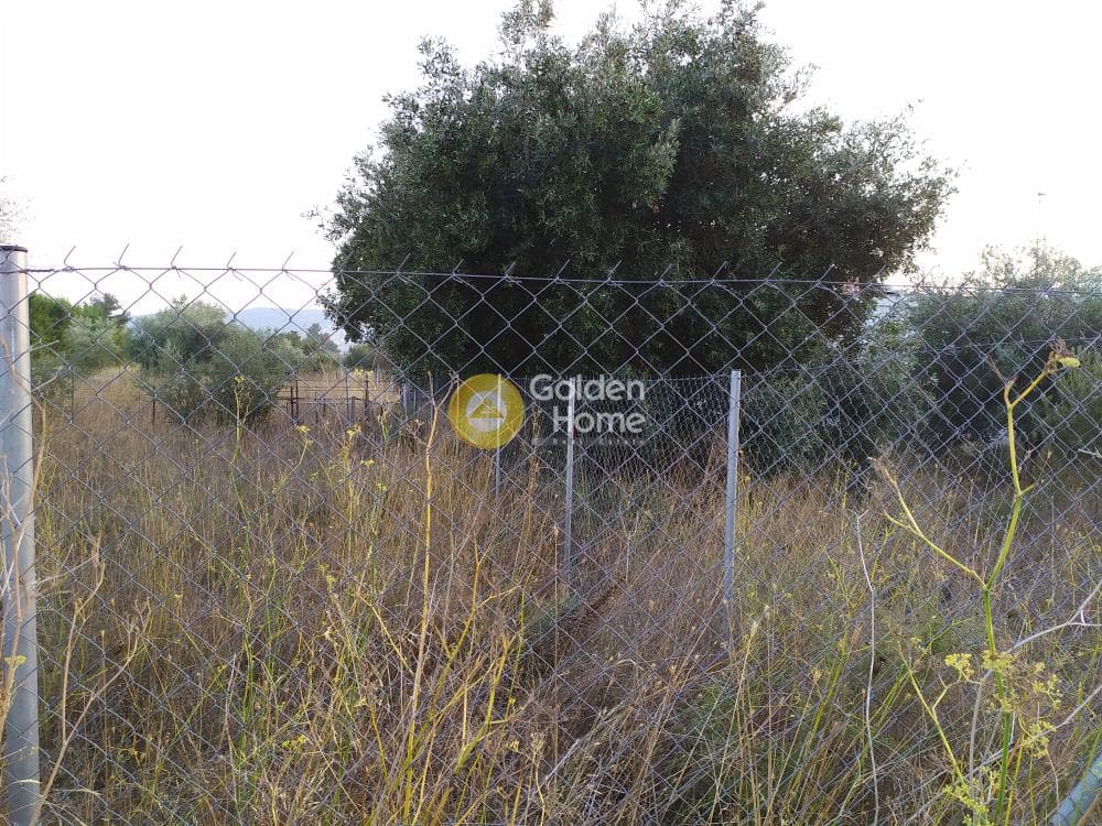 Οικόπεδο στην Καισάρεια, Παλλήνη — Φωτογραφία 7 από 12