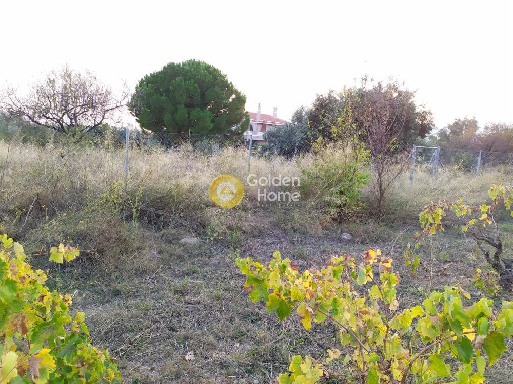 Οικόπεδο στην Καισάρεια, Παλλήνη — Φωτογραφία 9 από 12