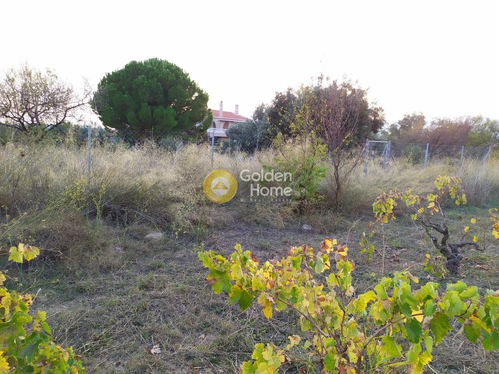Οικόπεδο στην Καισάρεια, Παλλήνη — Φωτογραφία 10 από 12
