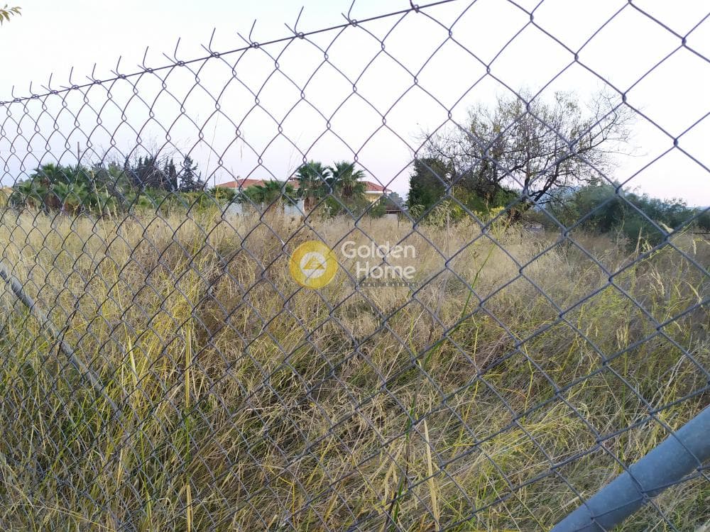 Οικόπεδο στην Καισάρεια, Παλλήνη — Φωτογραφία 11 από 12