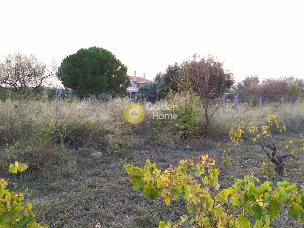 Οικόπεδο στην Καισάρεια, Παλλήνη — Φωτογραφία 12 από 12