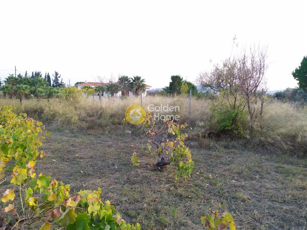 Οικόπεδο στην Καισάρεια, Παλλήνη — Φωτογραφία 1 από 12