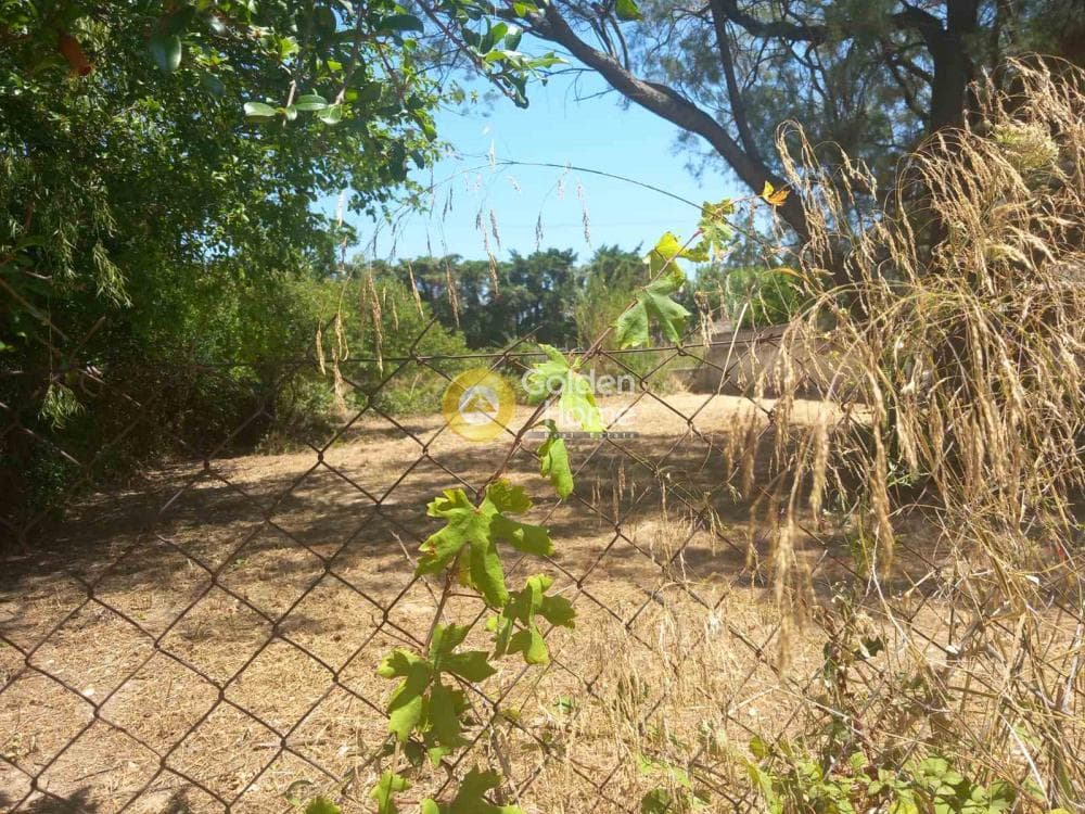 Parcel in Center, Marathonas — Photo 3 of 5