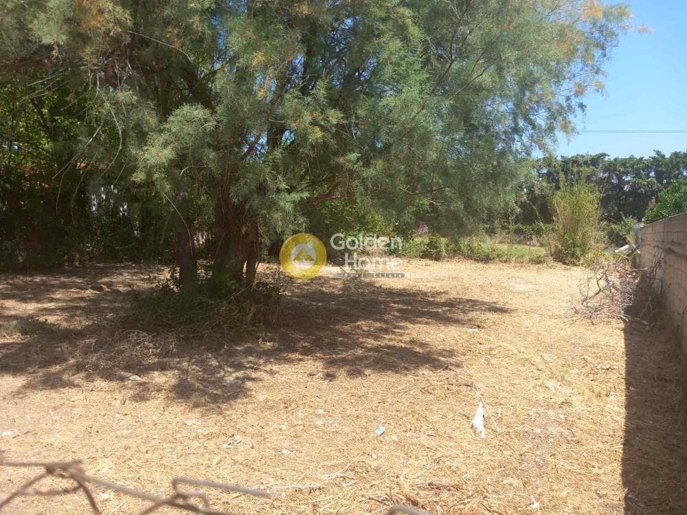 Parcel in Center, Marathonas — Photo 1 of 5
