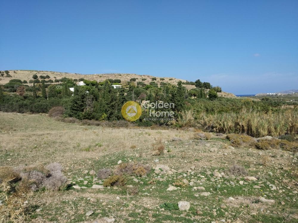 Αγροτεμάχιο στην Γαλήνη, Νάξος — Φωτογραφία 3 από 4