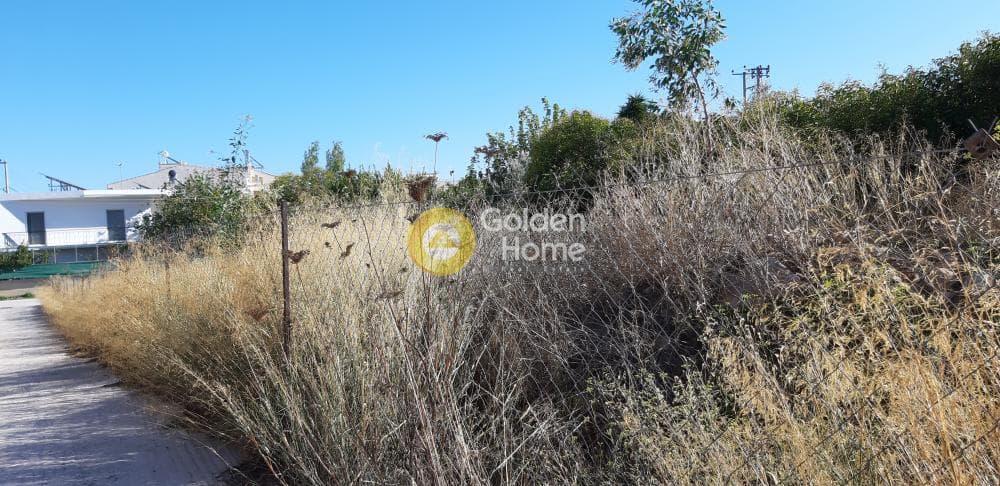 Building Plot in Neapoli, Spata — Photo 5 of 7