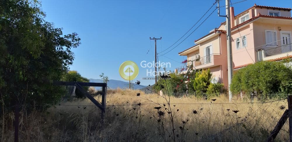 Building Plot in Neapoli, Spata — Photo 7 of 7