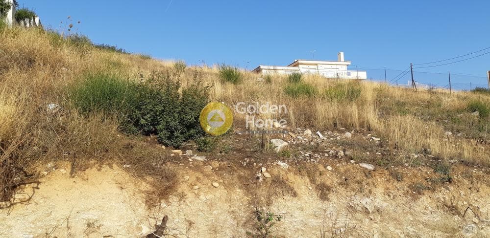 Building Plot in Neos Voutzas, Rafina — Photo 5 of 5
