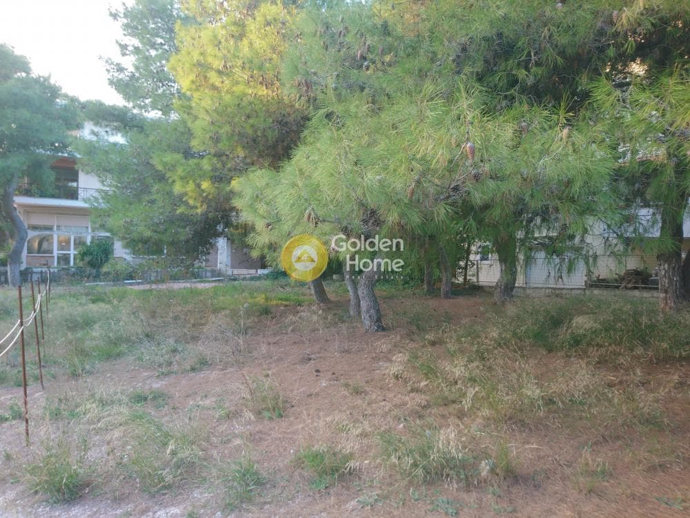 Οικόπεδο στην Μεγάλα Σχοινία Α, Αχαρνές — Φωτογραφία 3 από 8