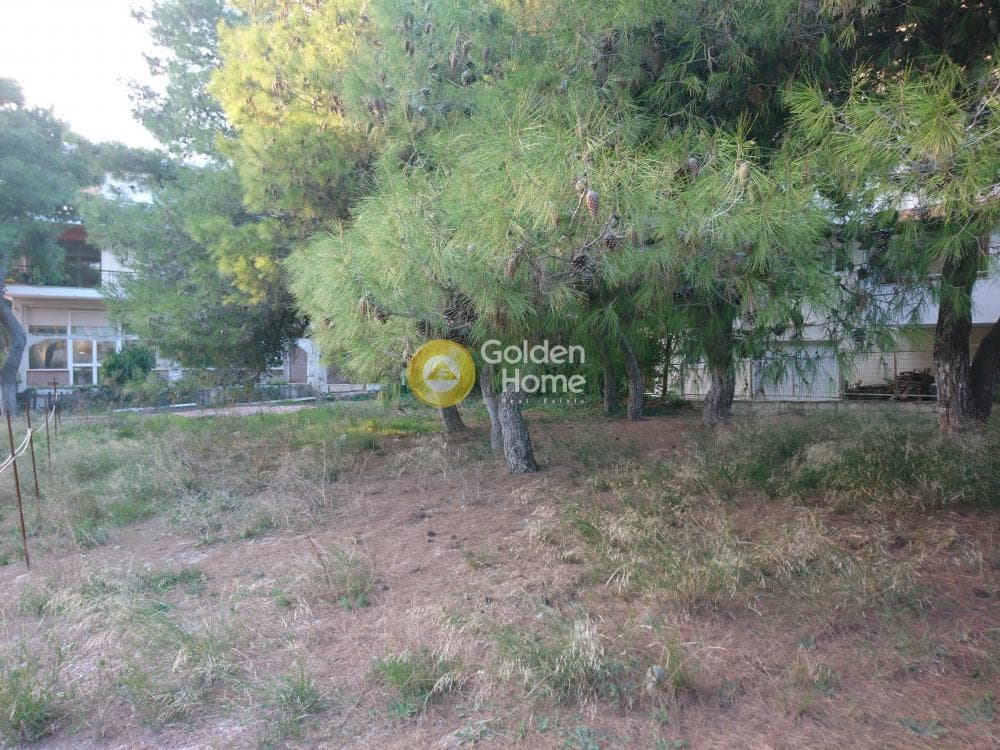 Οικόπεδο στην Μεγάλα Σχοινία Α, Αχαρνές — Φωτογραφία 5 από 8