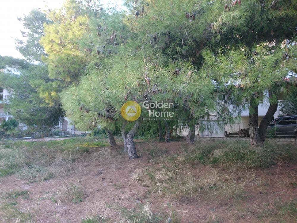 Οικόπεδο στην Μεγάλα Σχοινία Α, Αχαρνές — Φωτογραφία 4 από 8