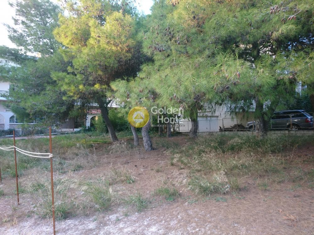 Οικόπεδο στην Μεγάλα Σχοινία Α, Αχαρνές — Φωτογραφία 7 από 8