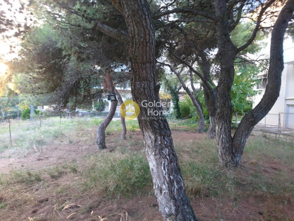 Οικόπεδο στην Μεγάλα Σχοινία Α, Αχαρνές — Φωτογραφία 6 από 8