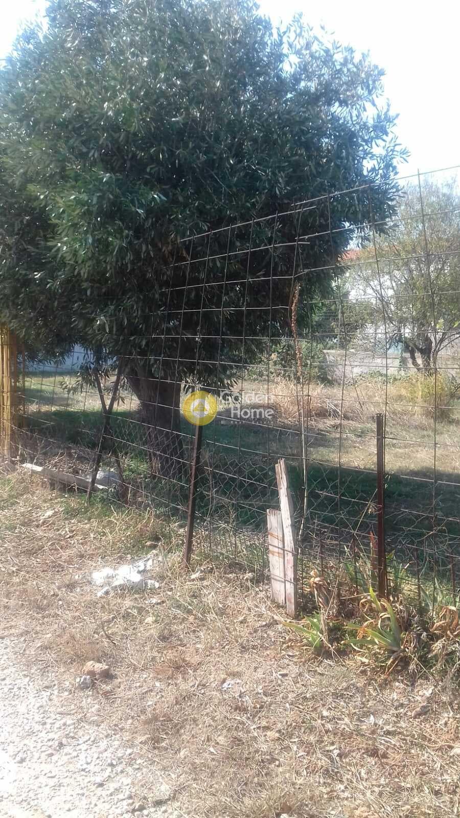 Building Plot in Vorineza, Artemida (Loutsa) — Photo 1 of 3