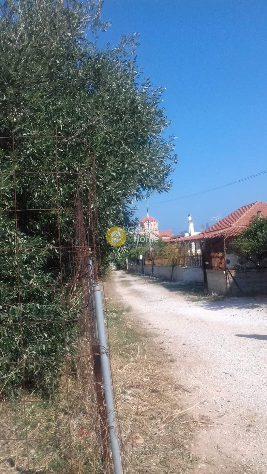 Building Plot in Vorineza, Artemida (Loutsa) — Photo 2 of 3