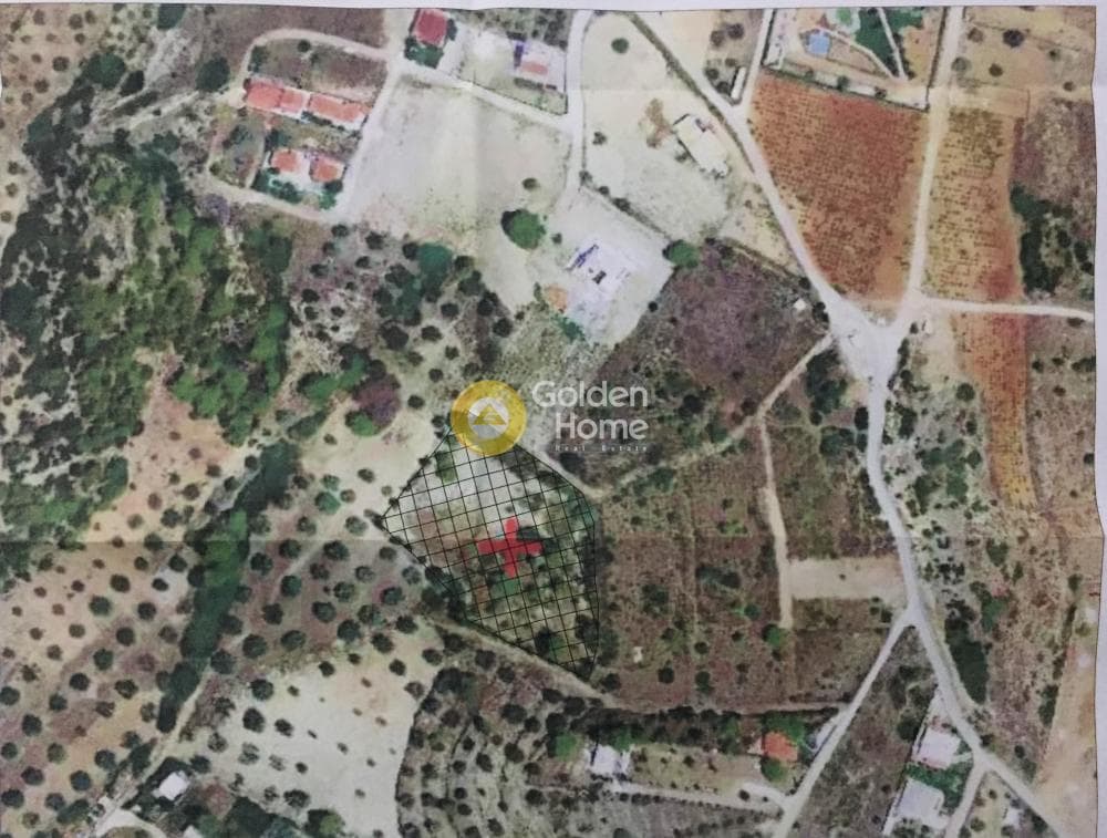Οικόπεδο στην Παραλία Δασκαλειού, Κερατέα — Φωτογραφία 1 από 2