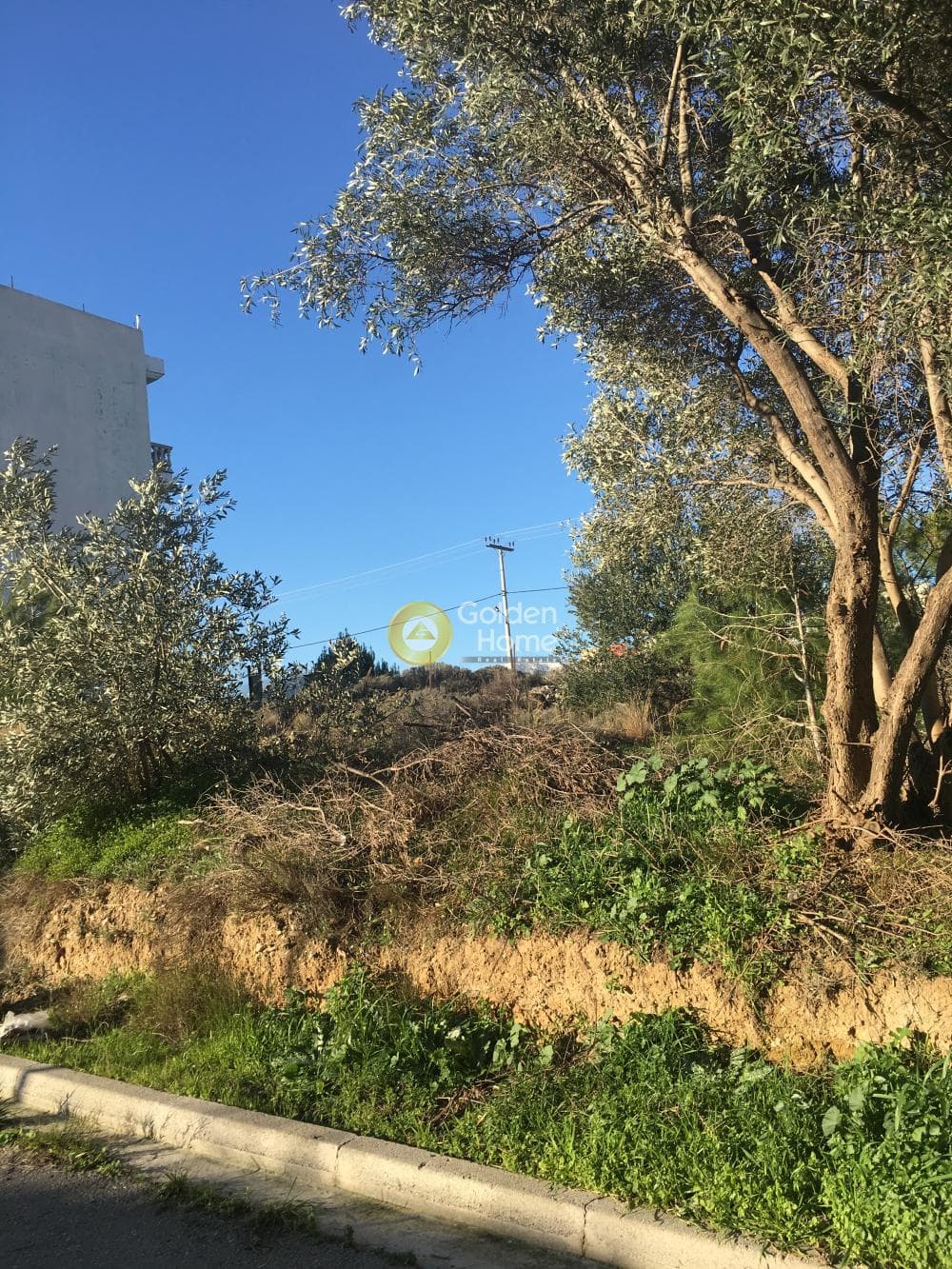Οικόπεδο στην Πυργούθι, Αχαρνές — Φωτογραφία 1 από 2