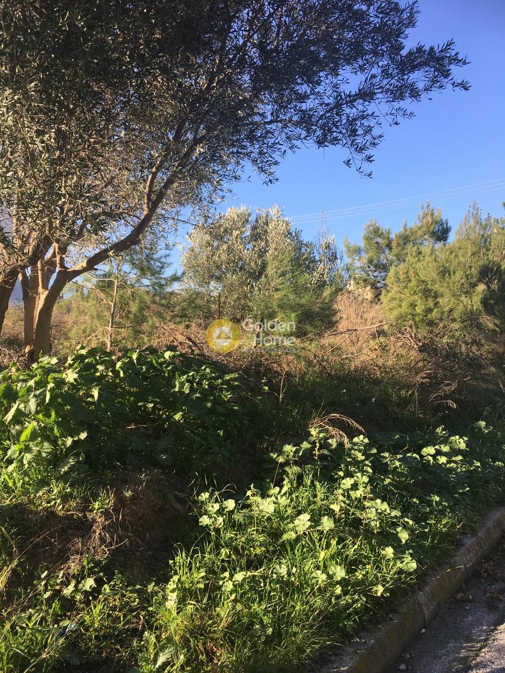 Οικόπεδο στην Πυργούθι, Αχαρνές — Φωτογραφία 2 από 2