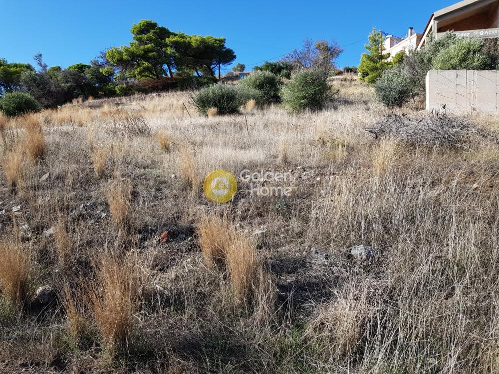 Οικόπεδο στην Άγιος Γεώργιος Θορικού, Λαύριο — Φωτογραφία 3 από 10